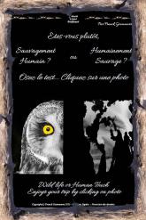 Cliquez ici pour revenir à l'accueil...