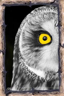 Cap vers Humainement Sauvage