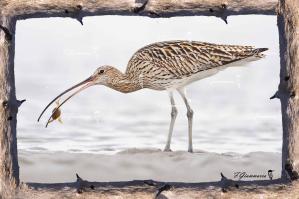 Un clic pour découvrir mes photos...