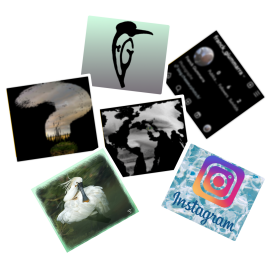 Venez me rejoindre sur Instagram...