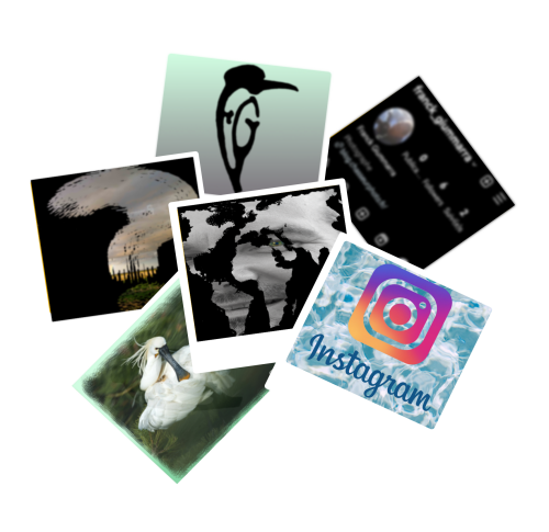 Venez me rejoindre sur Instagram...