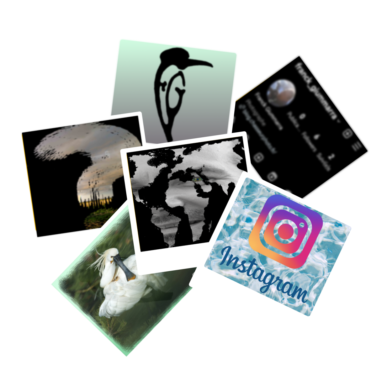 Venez me rejoindre sur Instagram