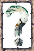 Une question, une demande, un contact...c'est par là