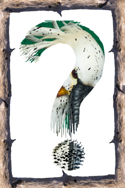 Une question, une demande, un contact...c'est par là