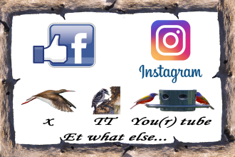 Cliquer ici pour me rencontrer sur les réseaux…