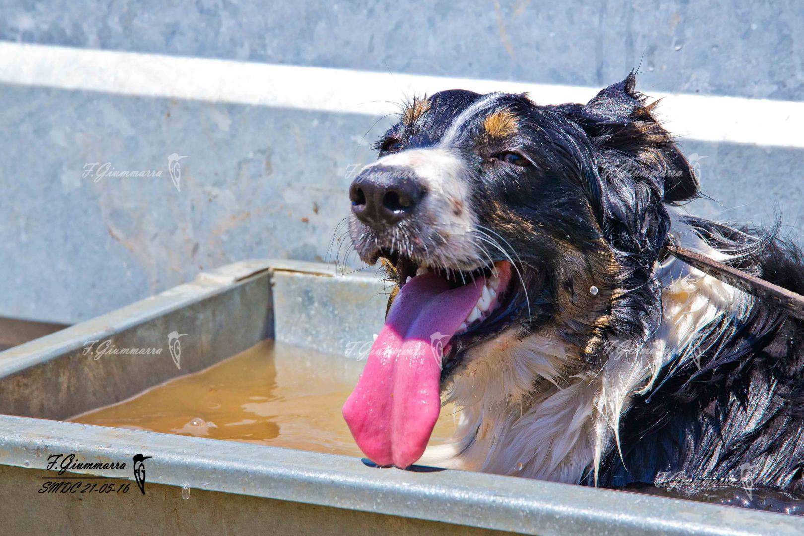 Pénibilité de la tâche - Bain pour éviter la montée en température