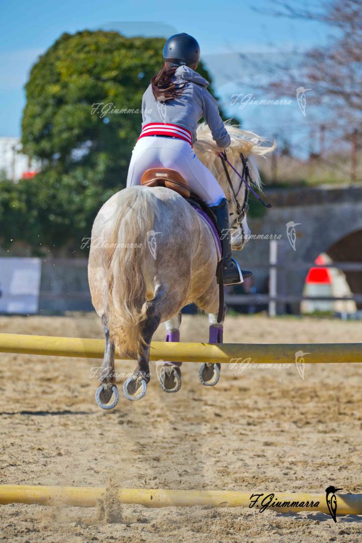 Dans les airs - Jumping